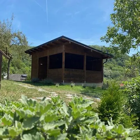Olanesti Băile Olăneşti