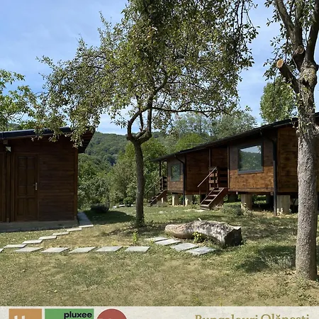 Olanesti Campingplads